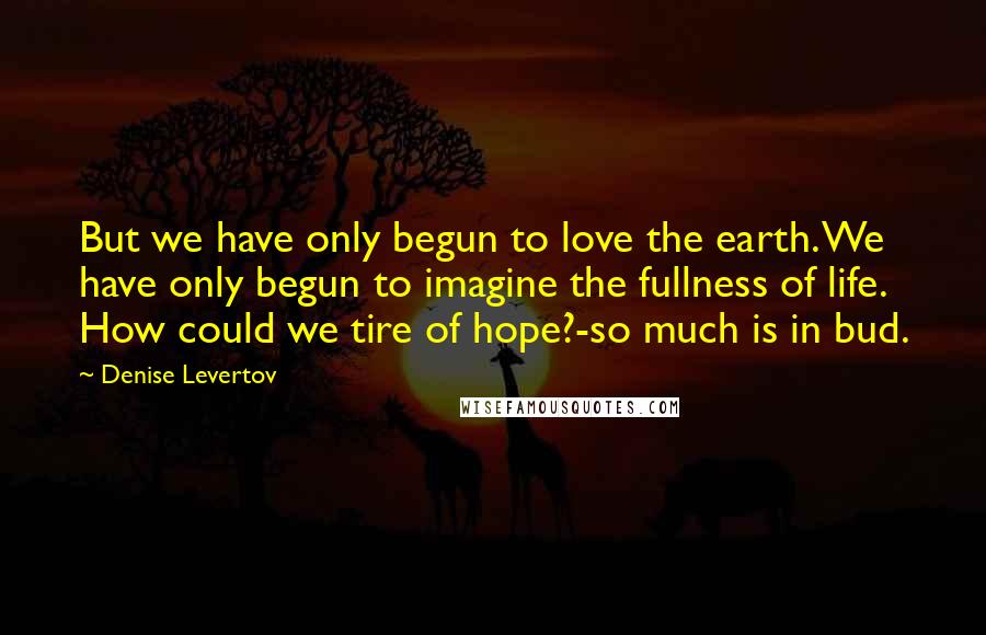 Denise Levertov Quotes: But we have only begun to love the earth. We have only begun to imagine the fullness of life. How could we tire of hope?-so much is in bud.