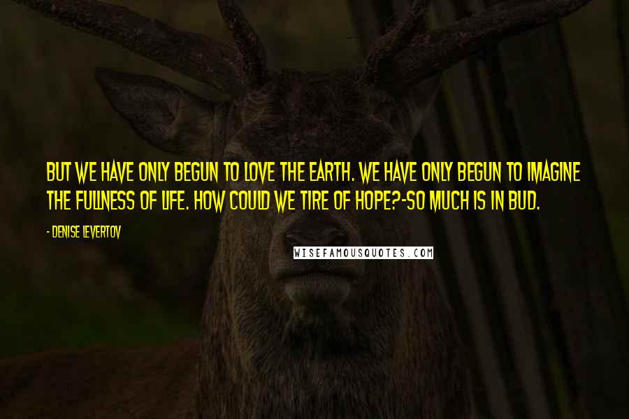 Denise Levertov Quotes: But we have only begun to love the earth. We have only begun to imagine the fullness of life. How could we tire of hope?-so much is in bud.