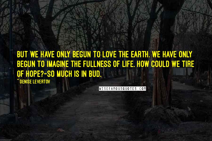 Denise Levertov Quotes: But we have only begun to love the earth. We have only begun to imagine the fullness of life. How could we tire of hope?-so much is in bud.