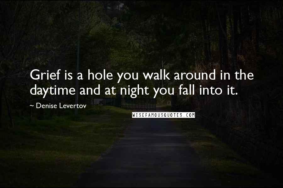 Denise Levertov Quotes: Grief is a hole you walk around in the daytime and at night you fall into it.