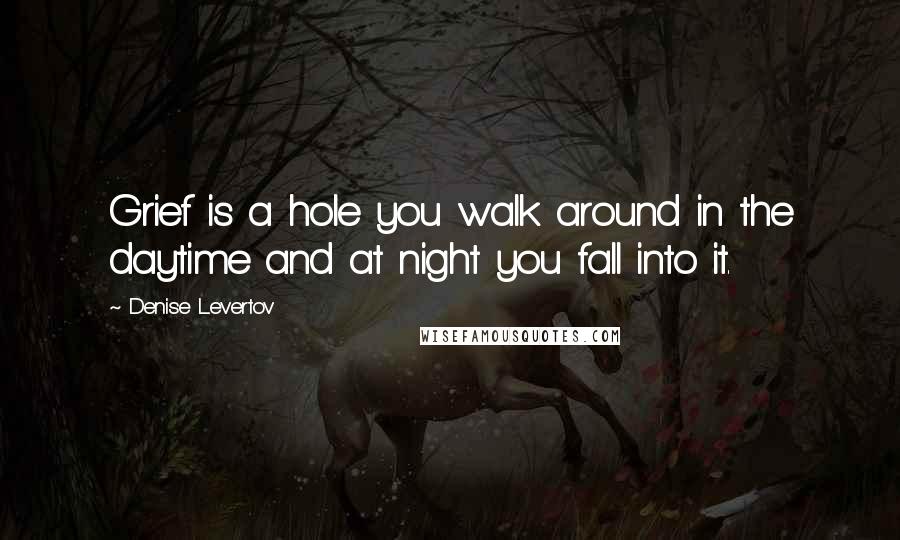 Denise Levertov Quotes: Grief is a hole you walk around in the daytime and at night you fall into it.