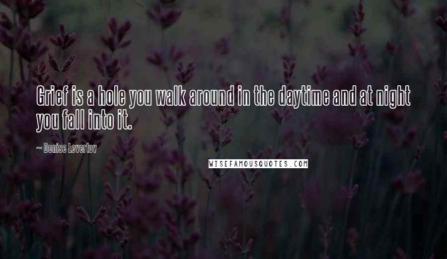 Denise Levertov Quotes: Grief is a hole you walk around in the daytime and at night you fall into it.