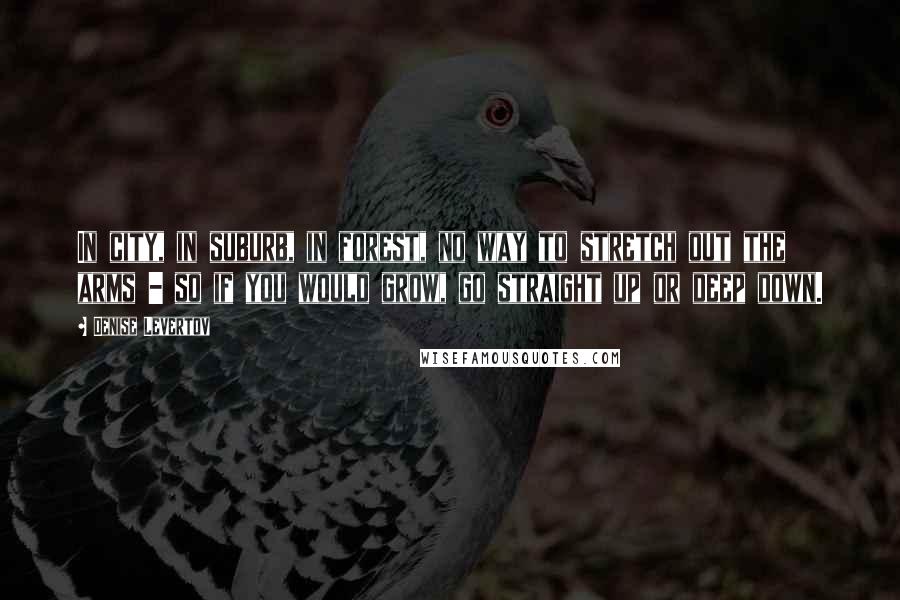 Denise Levertov Quotes: In city, in suburb, in forest, no way to stretch out the arms - so if you would grow, go straight up or deep down.
