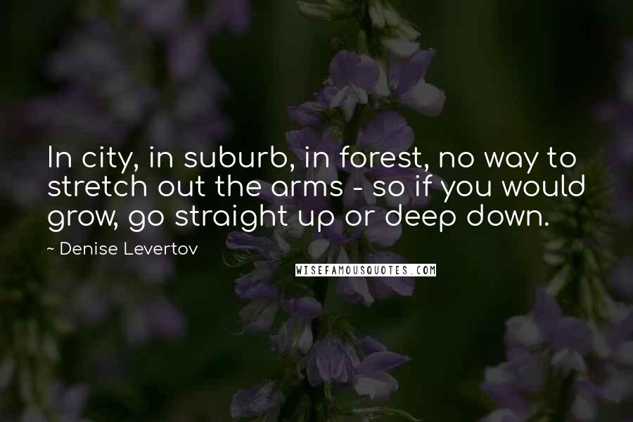 Denise Levertov Quotes: In city, in suburb, in forest, no way to stretch out the arms - so if you would grow, go straight up or deep down.