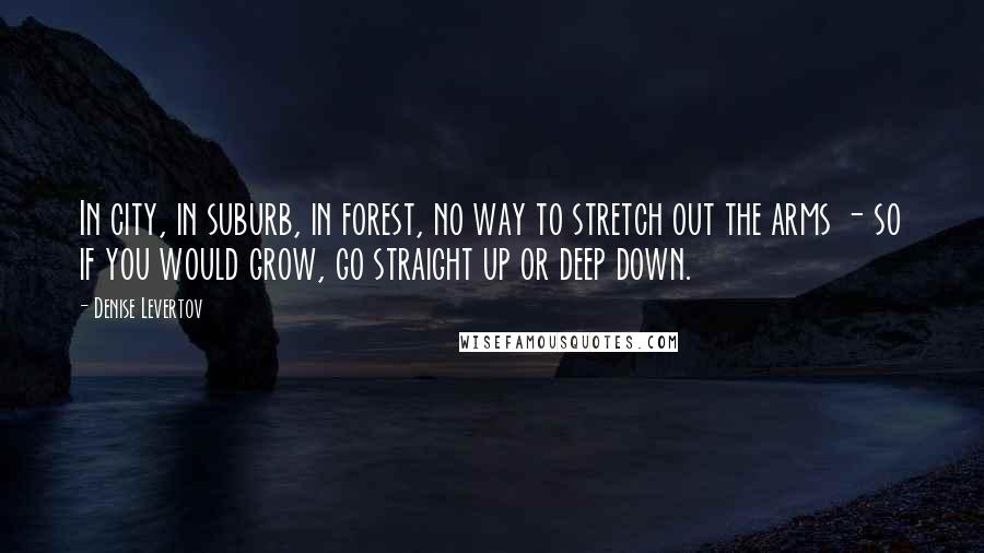 Denise Levertov Quotes: In city, in suburb, in forest, no way to stretch out the arms - so if you would grow, go straight up or deep down.