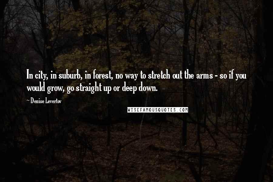 Denise Levertov Quotes: In city, in suburb, in forest, no way to stretch out the arms - so if you would grow, go straight up or deep down.