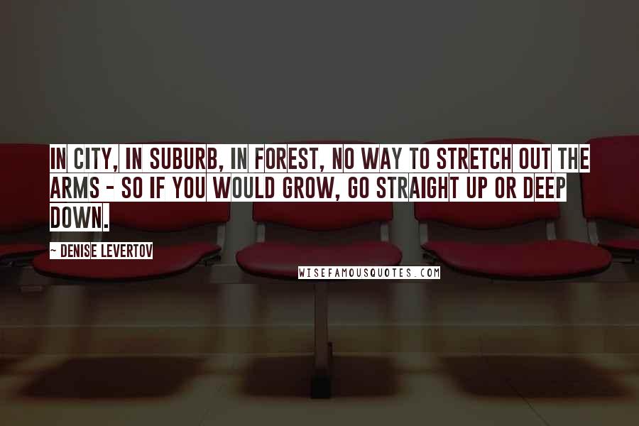 Denise Levertov Quotes: In city, in suburb, in forest, no way to stretch out the arms - so if you would grow, go straight up or deep down.