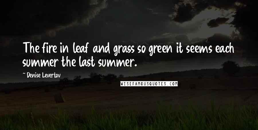 Denise Levertov Quotes: The fire in leaf and grass so green it seems each summer the last summer.