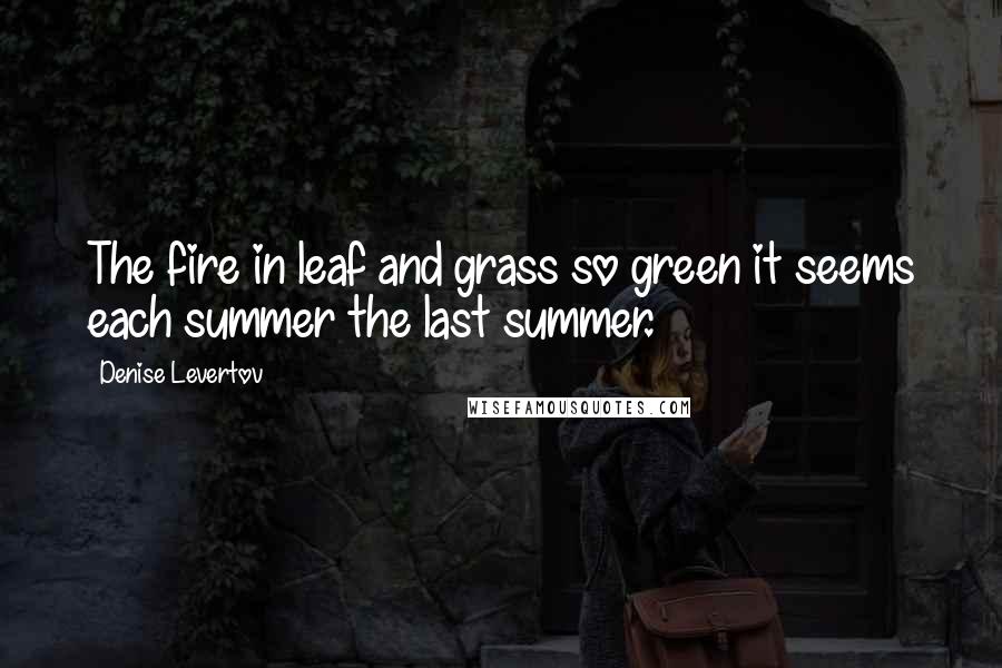 Denise Levertov Quotes: The fire in leaf and grass so green it seems each summer the last summer.