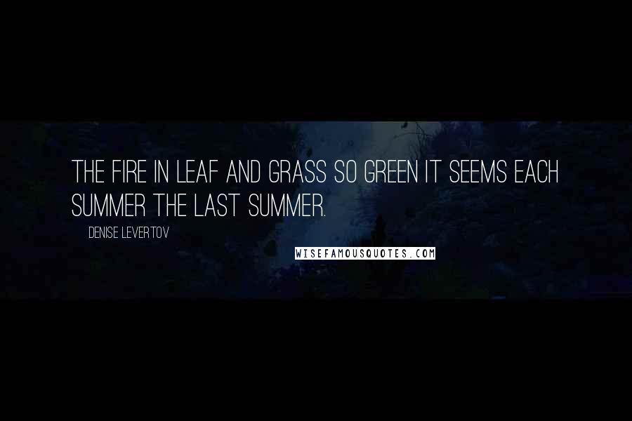 Denise Levertov Quotes: The fire in leaf and grass so green it seems each summer the last summer.