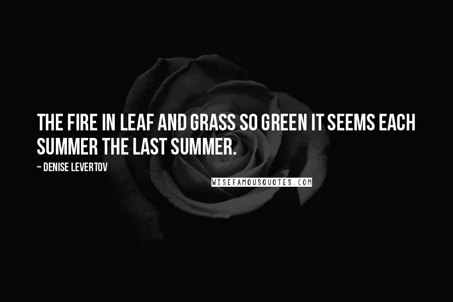Denise Levertov Quotes: The fire in leaf and grass so green it seems each summer the last summer.