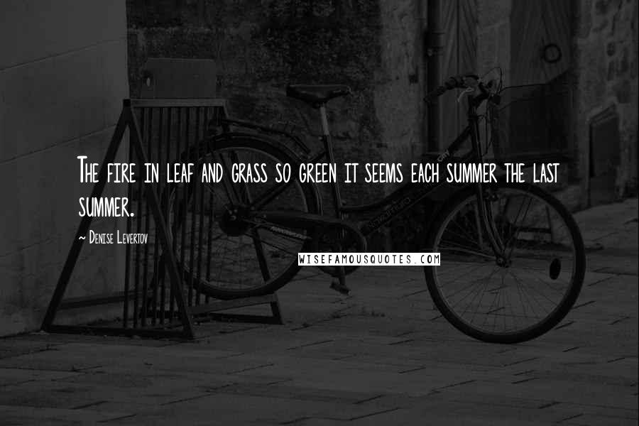 Denise Levertov Quotes: The fire in leaf and grass so green it seems each summer the last summer.