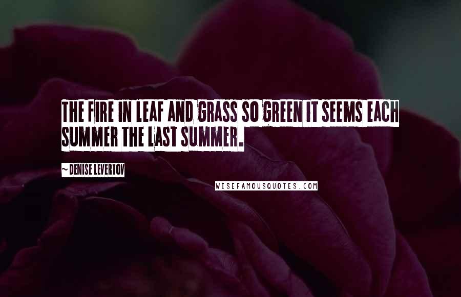 Denise Levertov Quotes: The fire in leaf and grass so green it seems each summer the last summer.