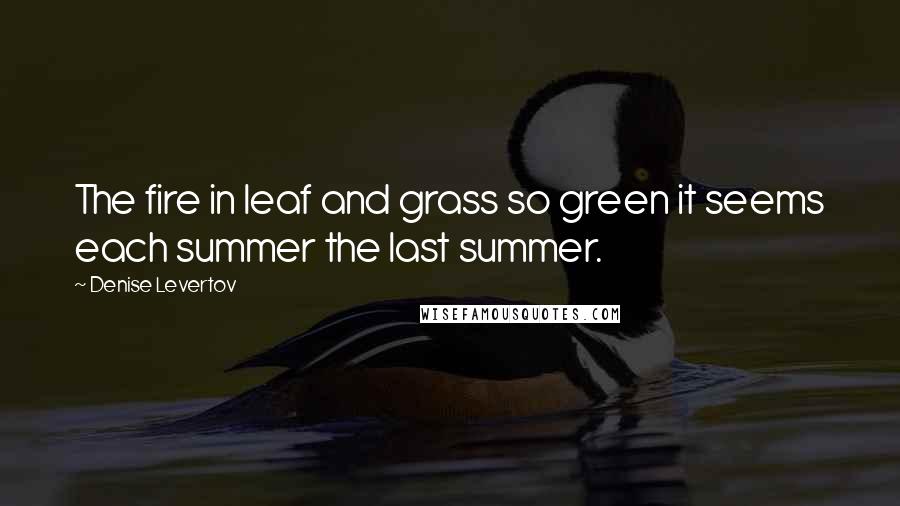 Denise Levertov Quotes: The fire in leaf and grass so green it seems each summer the last summer.