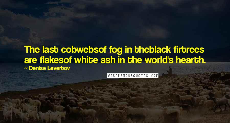 Denise Levertov Quotes: The last cobwebsof fog in theblack firtrees are flakesof white ash in the world's hearth.