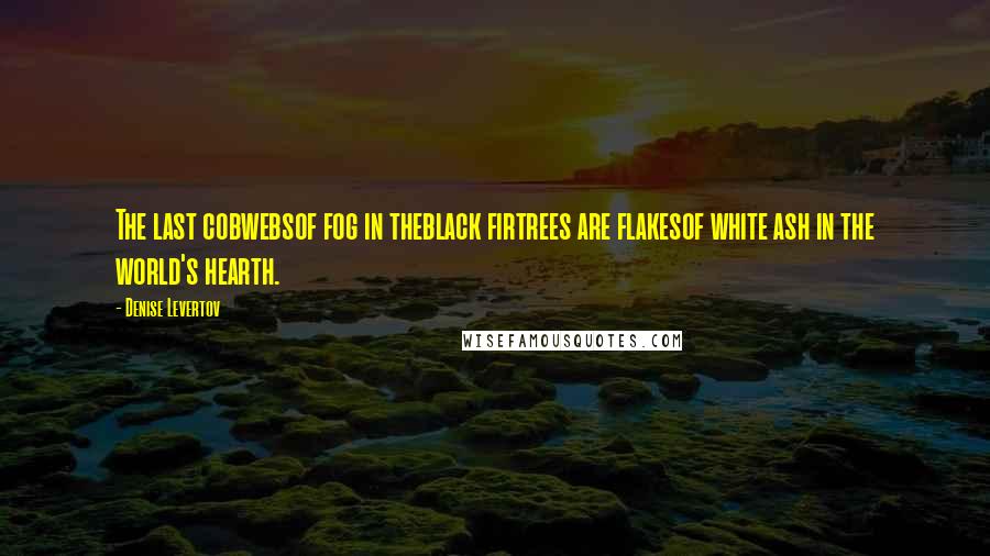 Denise Levertov Quotes: The last cobwebsof fog in theblack firtrees are flakesof white ash in the world's hearth.