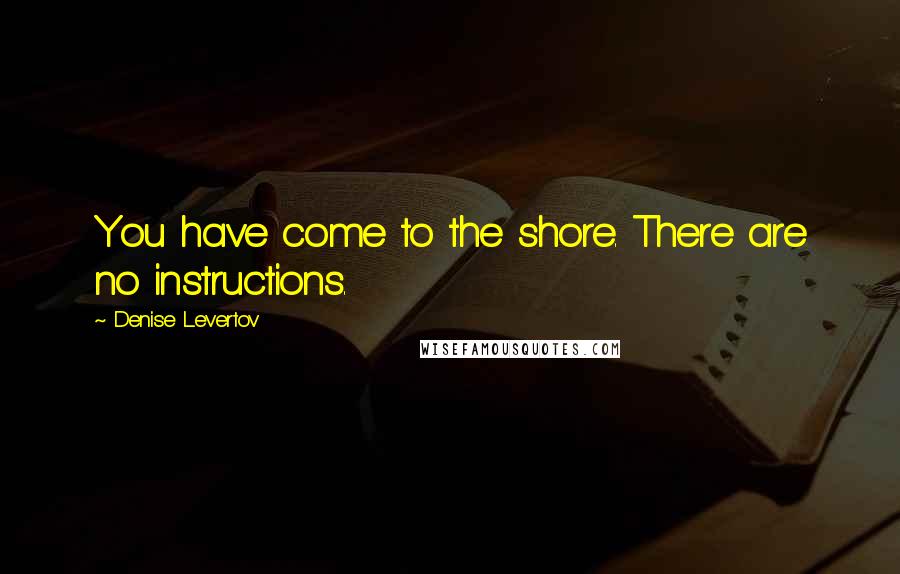 Denise Levertov Quotes: You have come to the shore. There are no instructions.