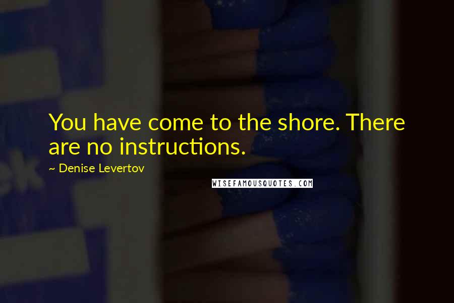 Denise Levertov Quotes: You have come to the shore. There are no instructions.