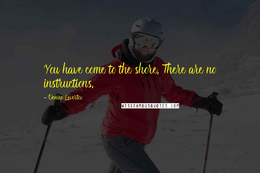 Denise Levertov Quotes: You have come to the shore. There are no instructions.