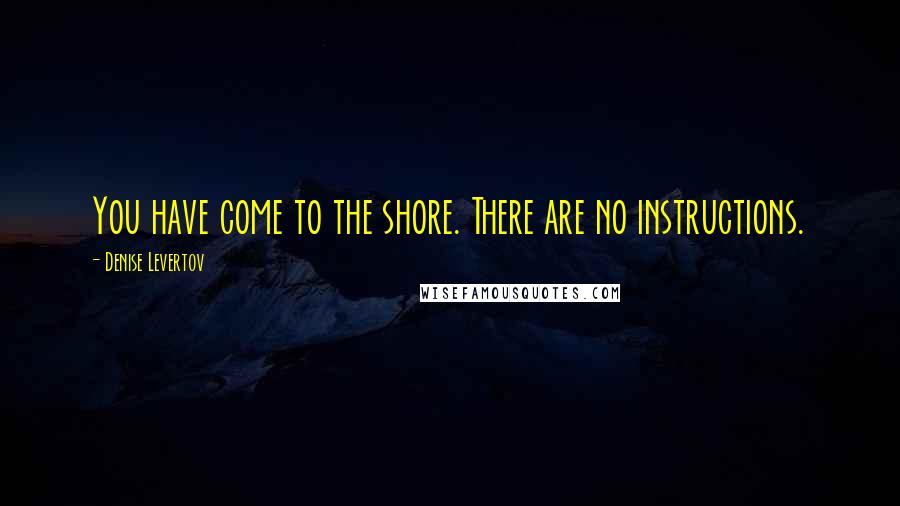 Denise Levertov Quotes: You have come to the shore. There are no instructions.