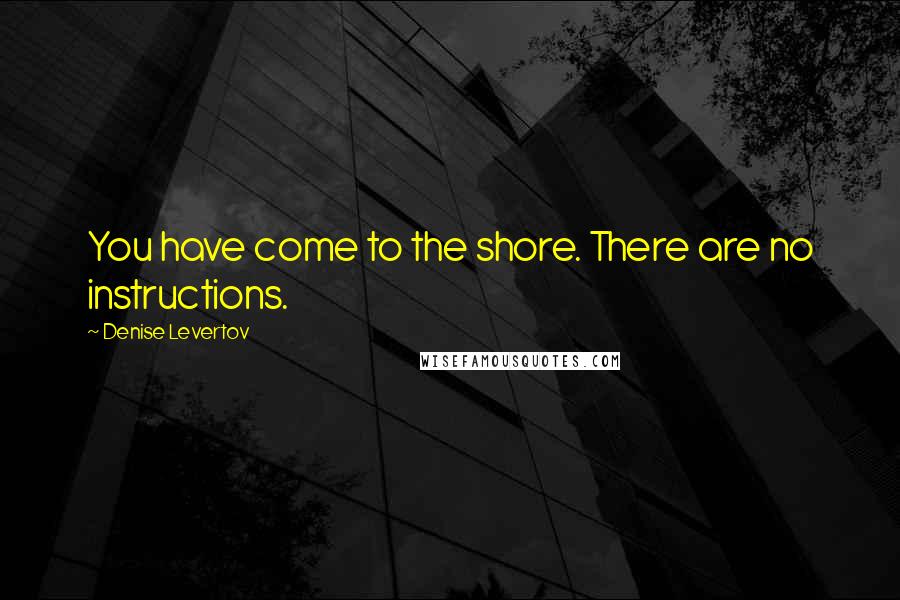 Denise Levertov Quotes: You have come to the shore. There are no instructions.