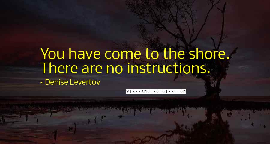 Denise Levertov Quotes: You have come to the shore. There are no instructions.