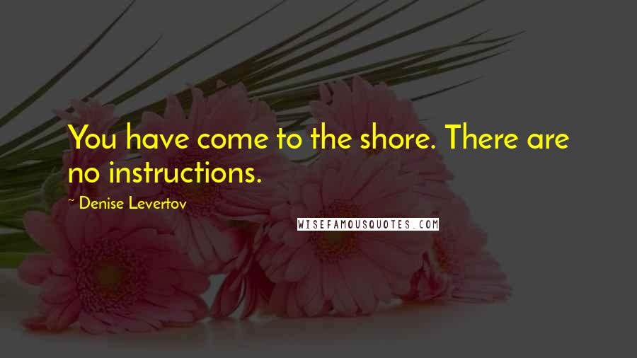 Denise Levertov Quotes: You have come to the shore. There are no instructions.