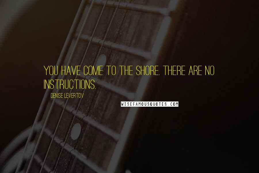 Denise Levertov Quotes: You have come to the shore. There are no instructions.