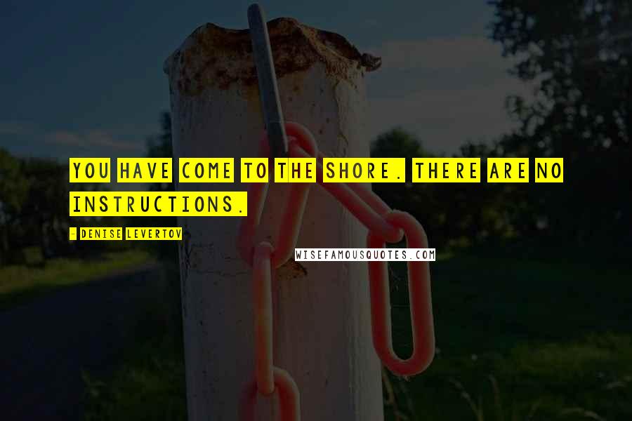 Denise Levertov Quotes: You have come to the shore. There are no instructions.