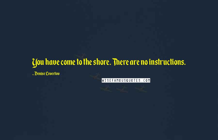 Denise Levertov Quotes: You have come to the shore. There are no instructions.