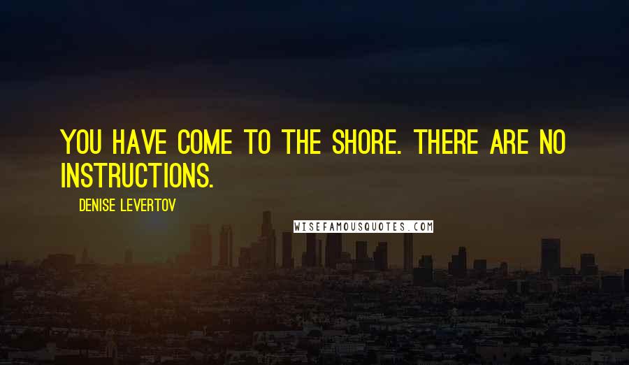 Denise Levertov Quotes: You have come to the shore. There are no instructions.