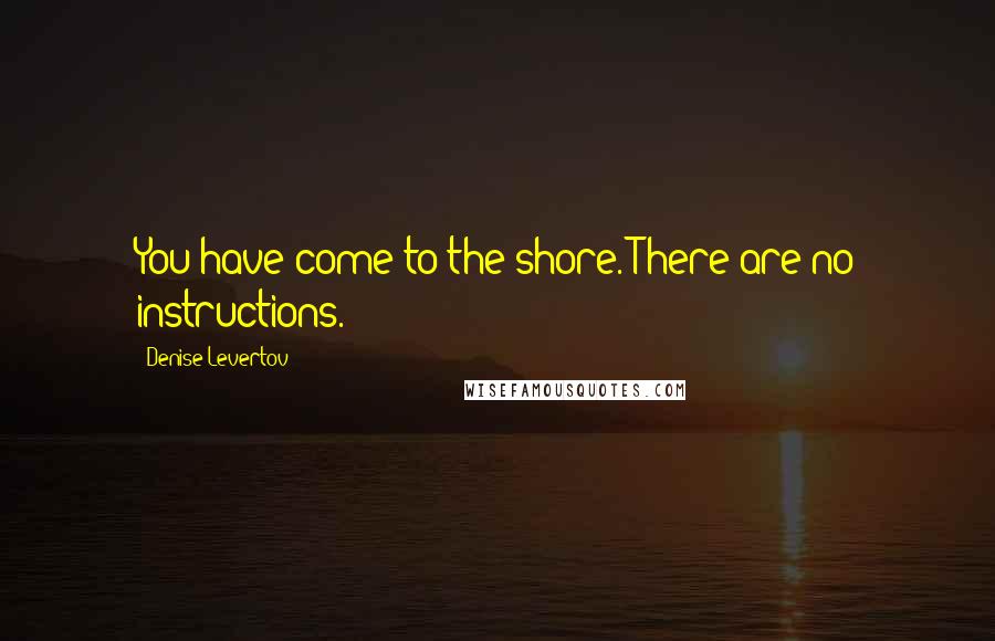 Denise Levertov Quotes: You have come to the shore. There are no instructions.
