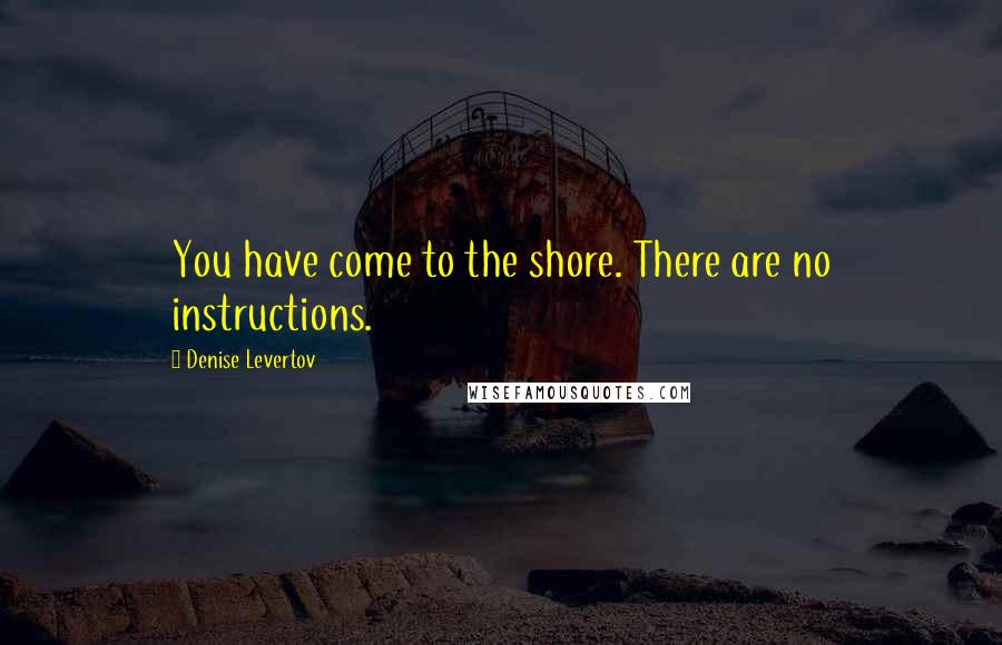 Denise Levertov Quotes: You have come to the shore. There are no instructions.