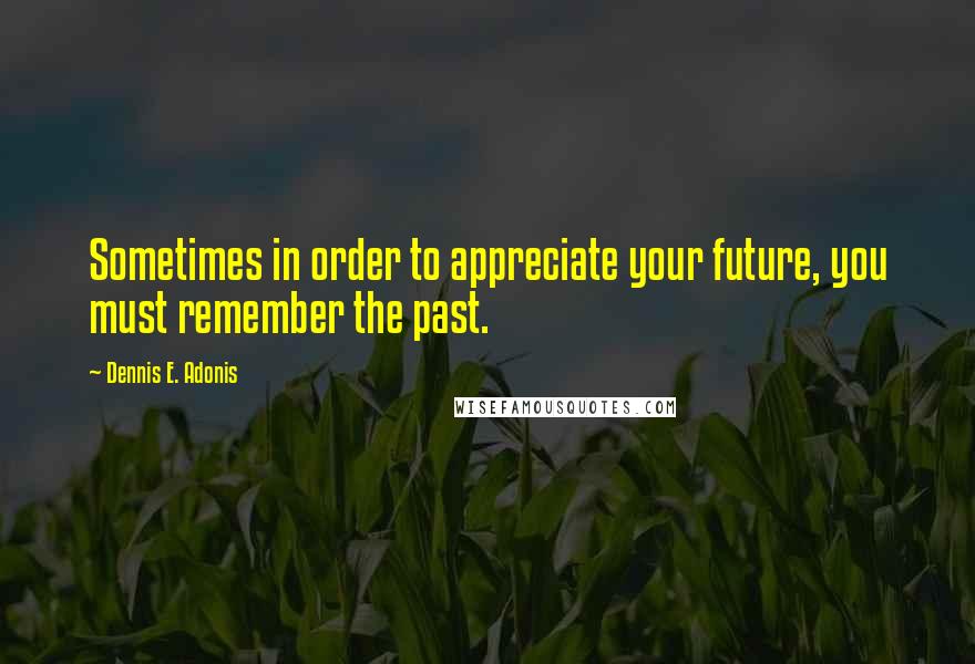 Dennis E. Adonis Quotes: Sometimes in order to appreciate your future, you must remember the past.