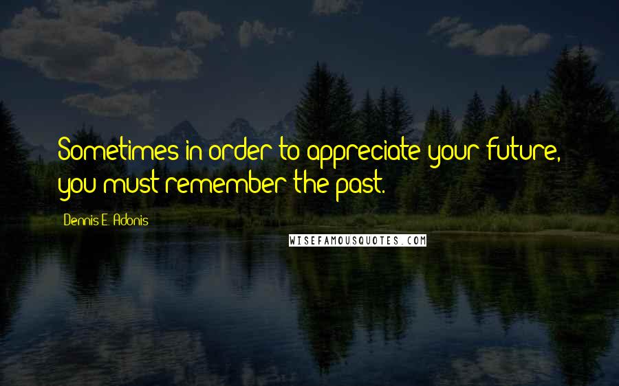 Dennis E. Adonis Quotes: Sometimes in order to appreciate your future, you must remember the past.