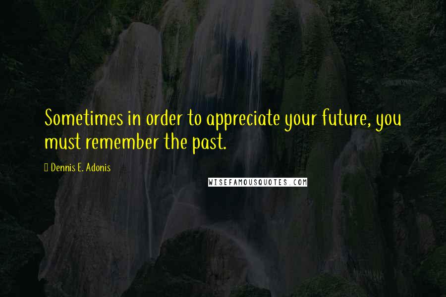 Dennis E. Adonis Quotes: Sometimes in order to appreciate your future, you must remember the past.