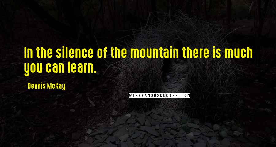 Dennis McKay Quotes: In the silence of the mountain there is much you can learn.