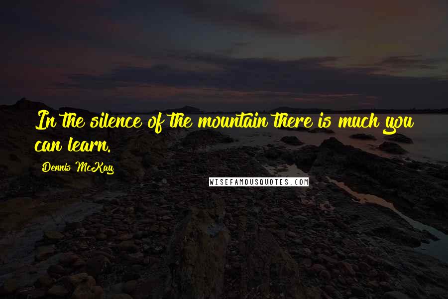 Dennis McKay Quotes: In the silence of the mountain there is much you can learn.