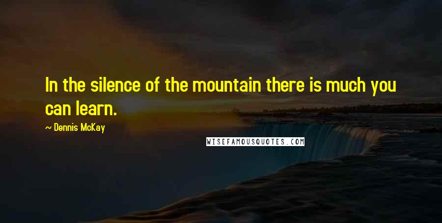 Dennis McKay Quotes: In the silence of the mountain there is much you can learn.