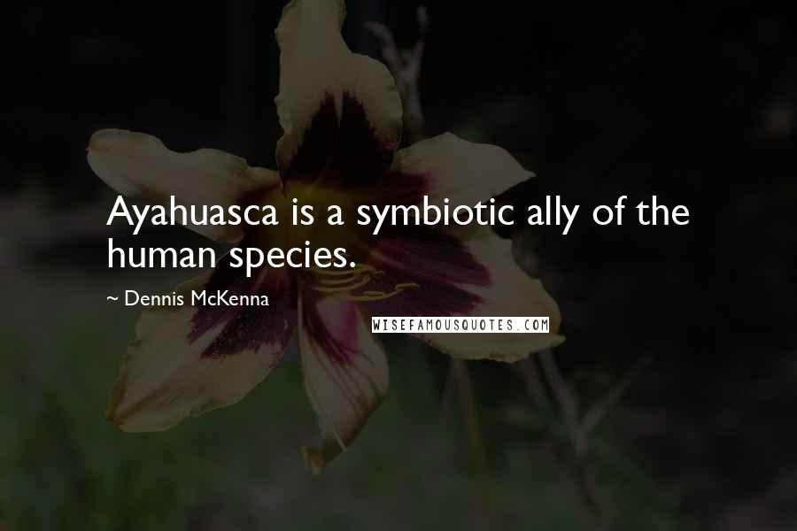 Dennis McKenna Quotes: Ayahuasca is a symbiotic ally of the human species.