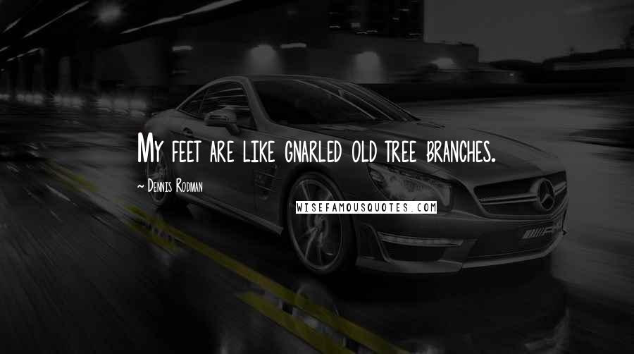 Dennis Rodman Quotes: My feet are like gnarled old tree branches.