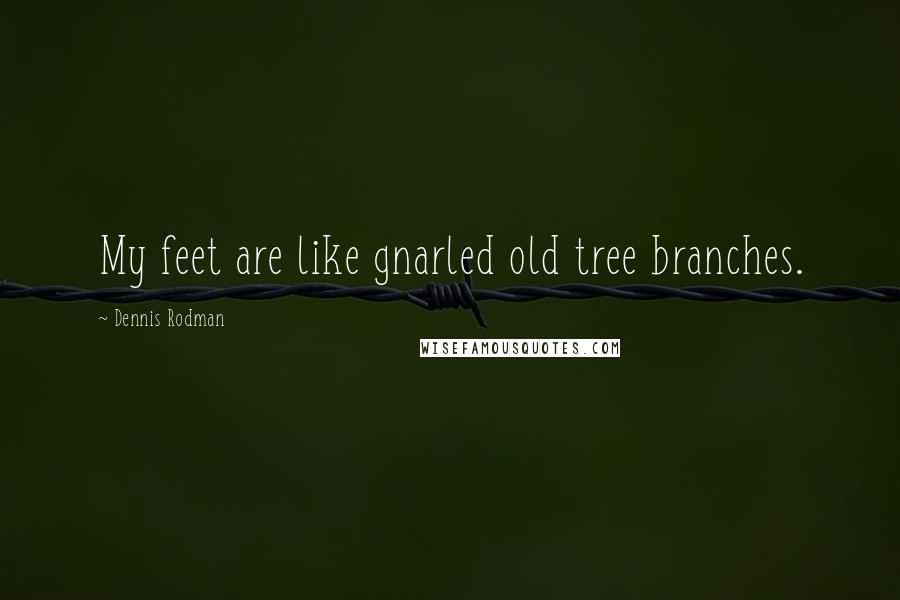 Dennis Rodman Quotes: My feet are like gnarled old tree branches.