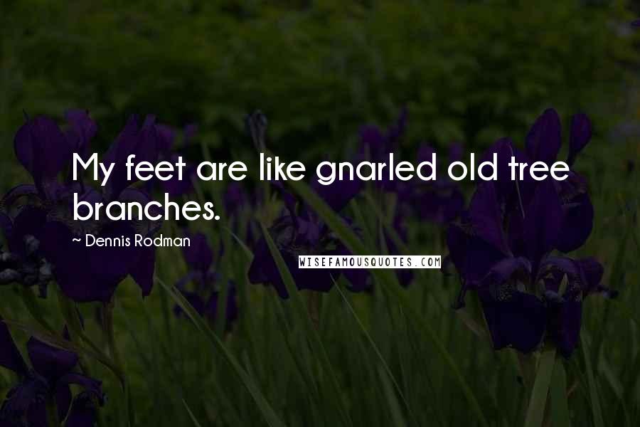 Dennis Rodman Quotes: My feet are like gnarled old tree branches.