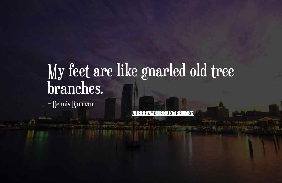 Dennis Rodman Quotes: My feet are like gnarled old tree branches.