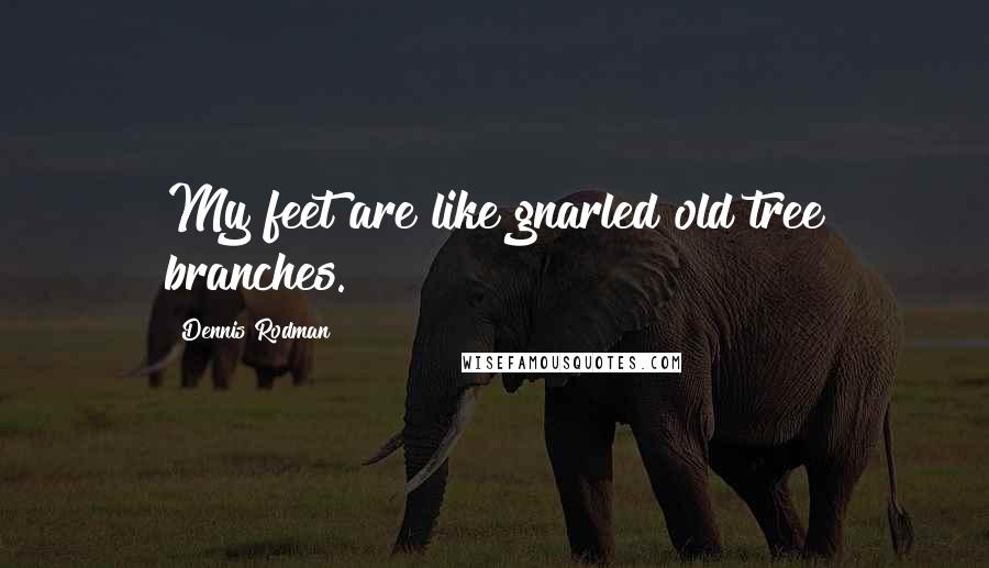Dennis Rodman Quotes: My feet are like gnarled old tree branches.