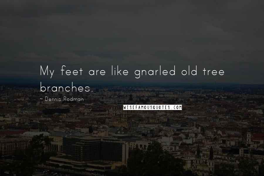 Dennis Rodman Quotes: My feet are like gnarled old tree branches.