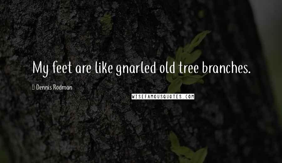 Dennis Rodman Quotes: My feet are like gnarled old tree branches.