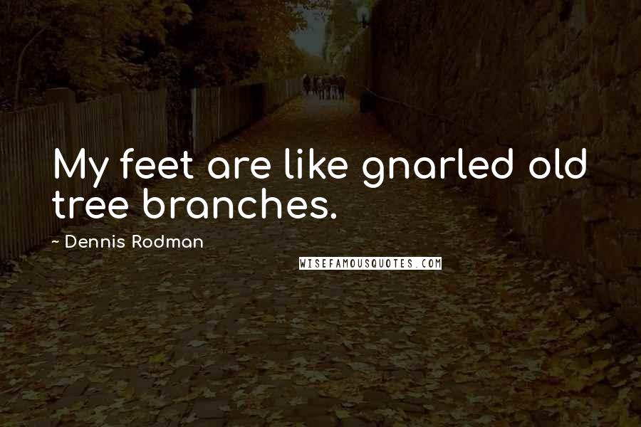 Dennis Rodman Quotes: My feet are like gnarled old tree branches.