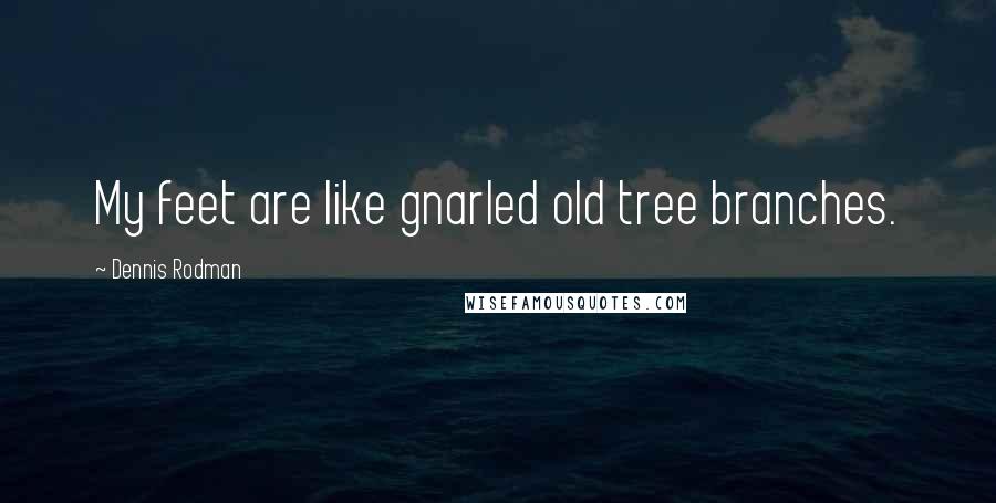 Dennis Rodman Quotes: My feet are like gnarled old tree branches.