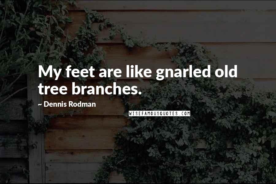 Dennis Rodman Quotes: My feet are like gnarled old tree branches.